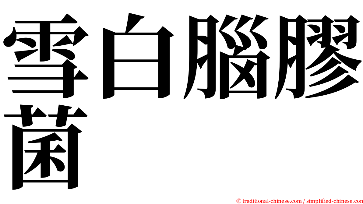 雪白腦膠菌 serif font