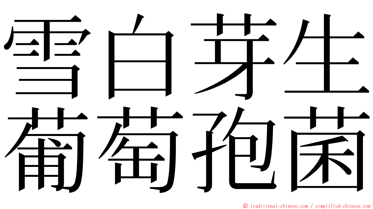 雪白芽生葡萄孢菌 ming font