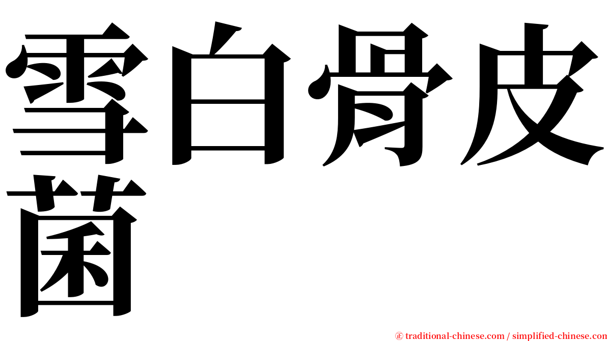 雪白骨皮菌 serif font