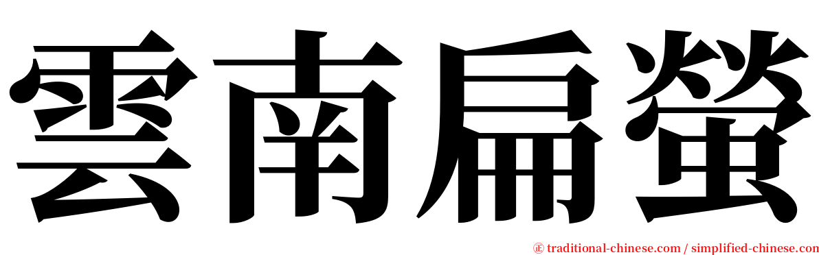 雲南扁螢 serif font