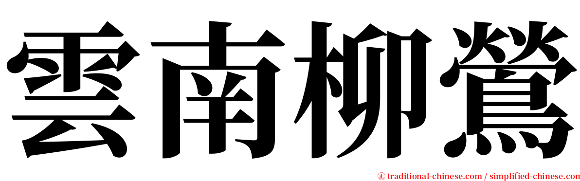 雲南柳鶯 serif font