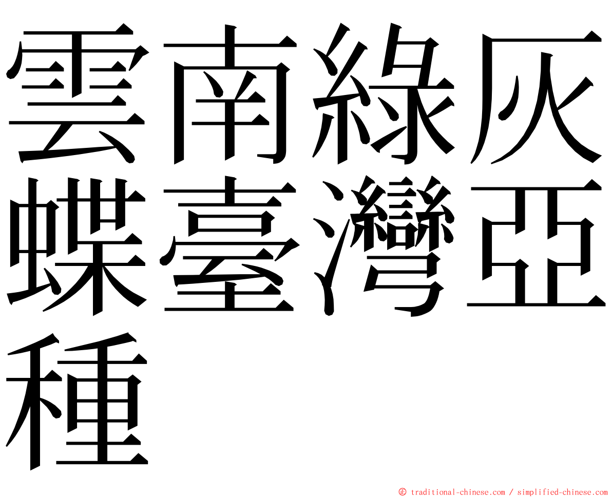 雲南綠灰蝶臺灣亞種 ming font