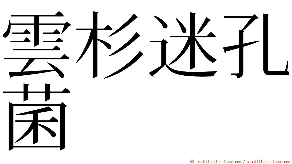 雲杉迷孔菌 ming font