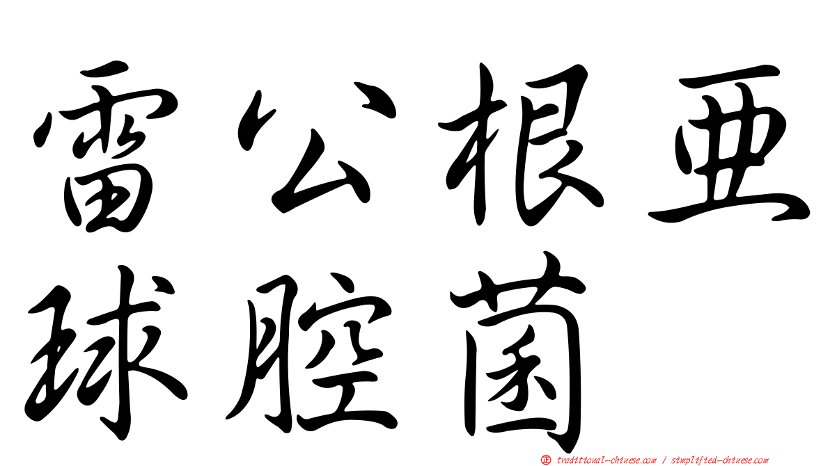 雷公根亞球腔菌