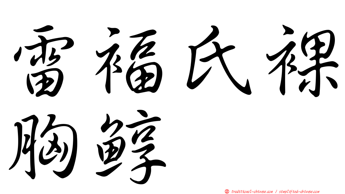 雷褔氏裸胸鯙