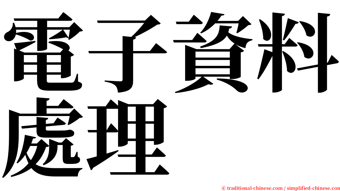 電子資料處理 serif font