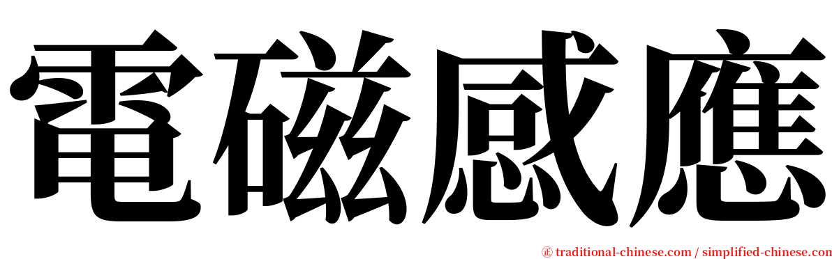 電磁感應 serif font