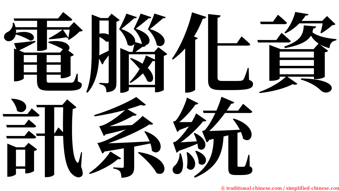 電腦化資訊系統 serif font