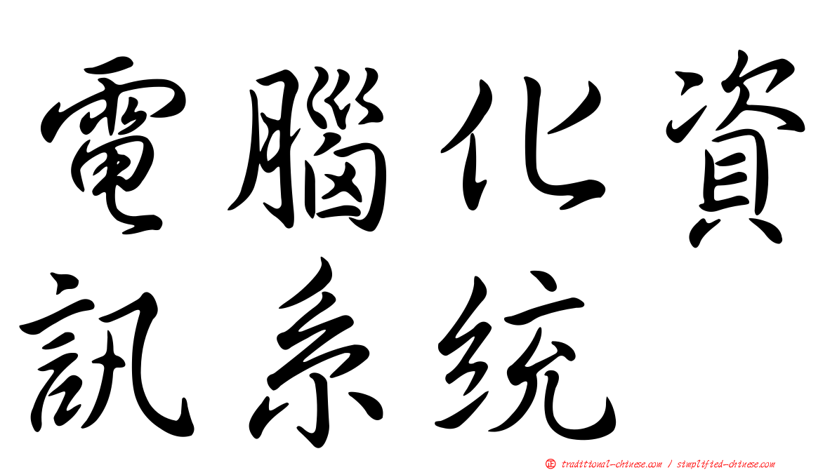 電腦化資訊系統