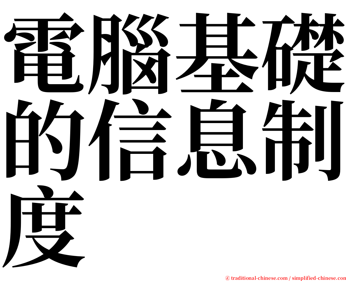 電腦基礎的信息制度 serif font