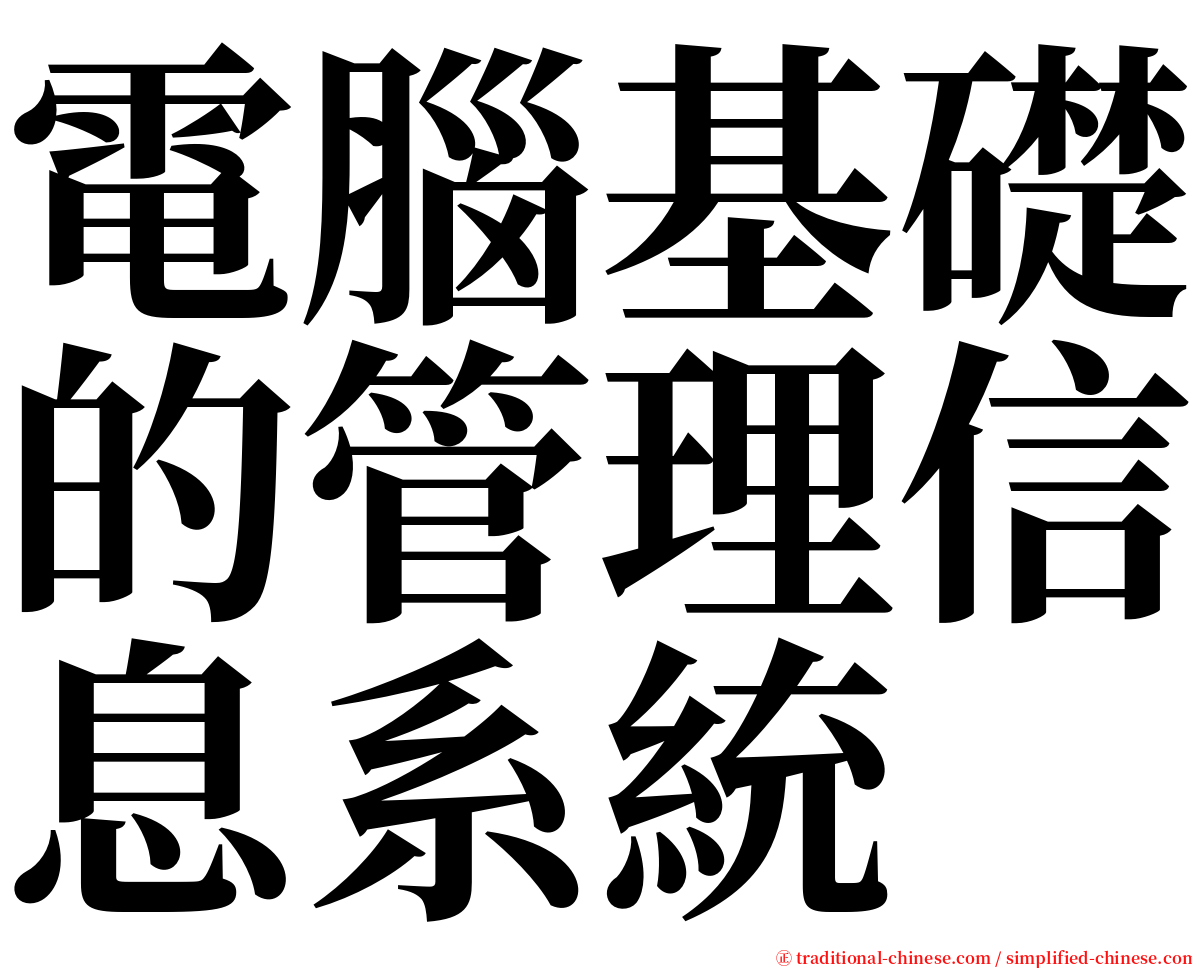 電腦基礎的管理信息系統 serif font