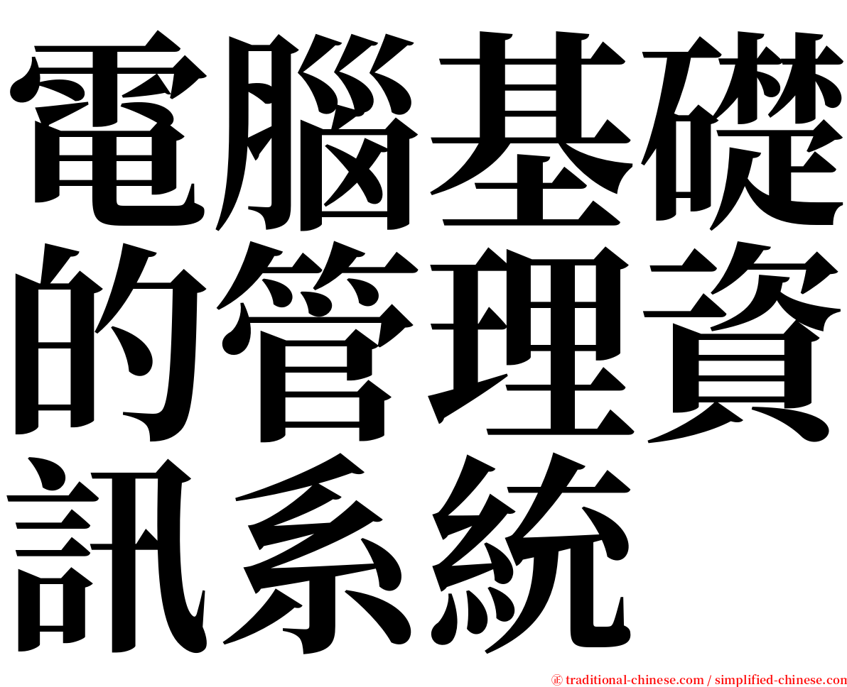 電腦基礎的管理資訊系統 serif font