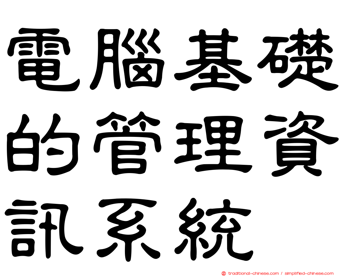 電腦基礎的管理資訊系統