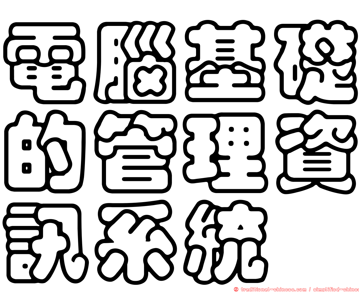 電腦基礎的管理資訊系統