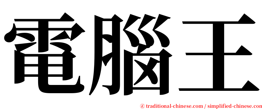 電腦王 serif font