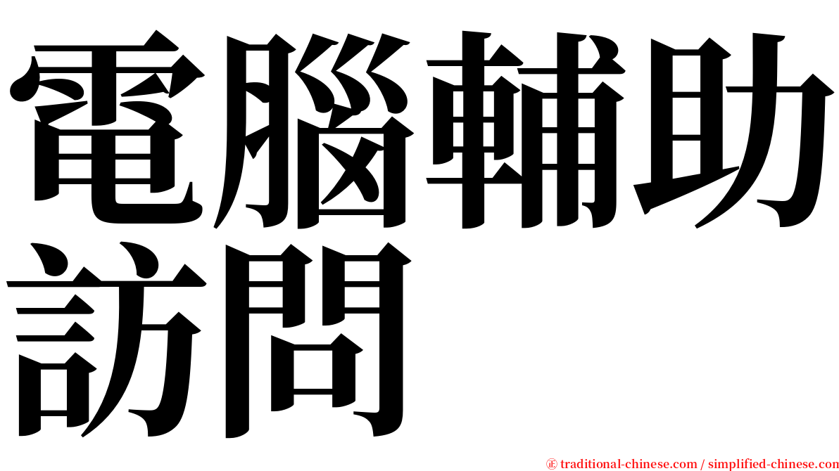 電腦輔助訪問 serif font