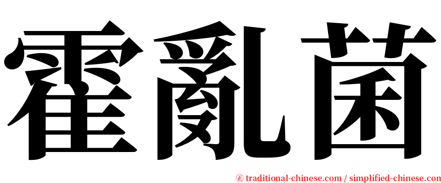 霍亂菌 serif font