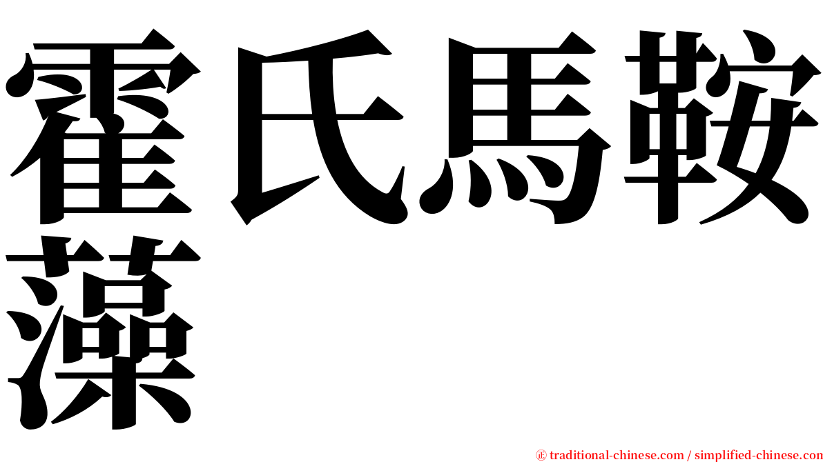 霍氏馬鞍藻 serif font