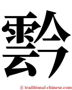 霒 serif font