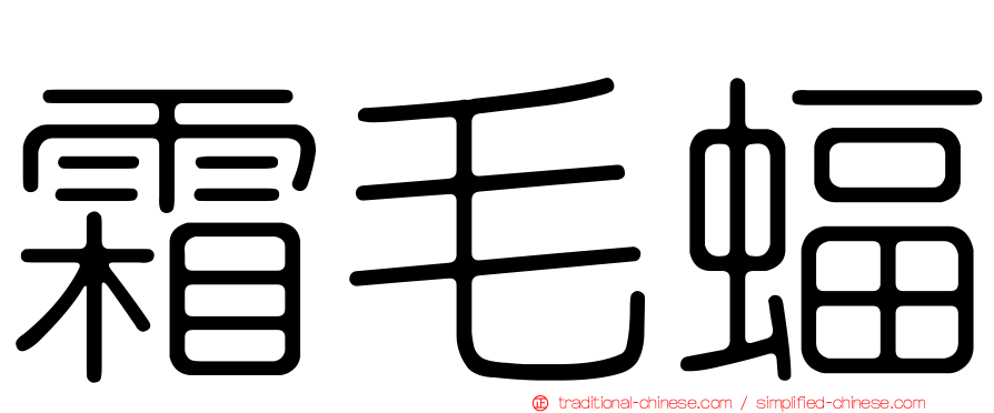 霜毛蝠