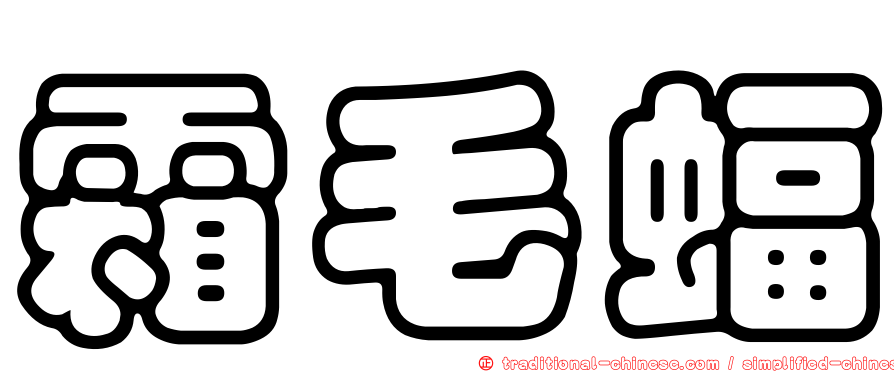 霜毛蝠