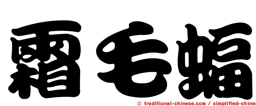 霜毛蝠