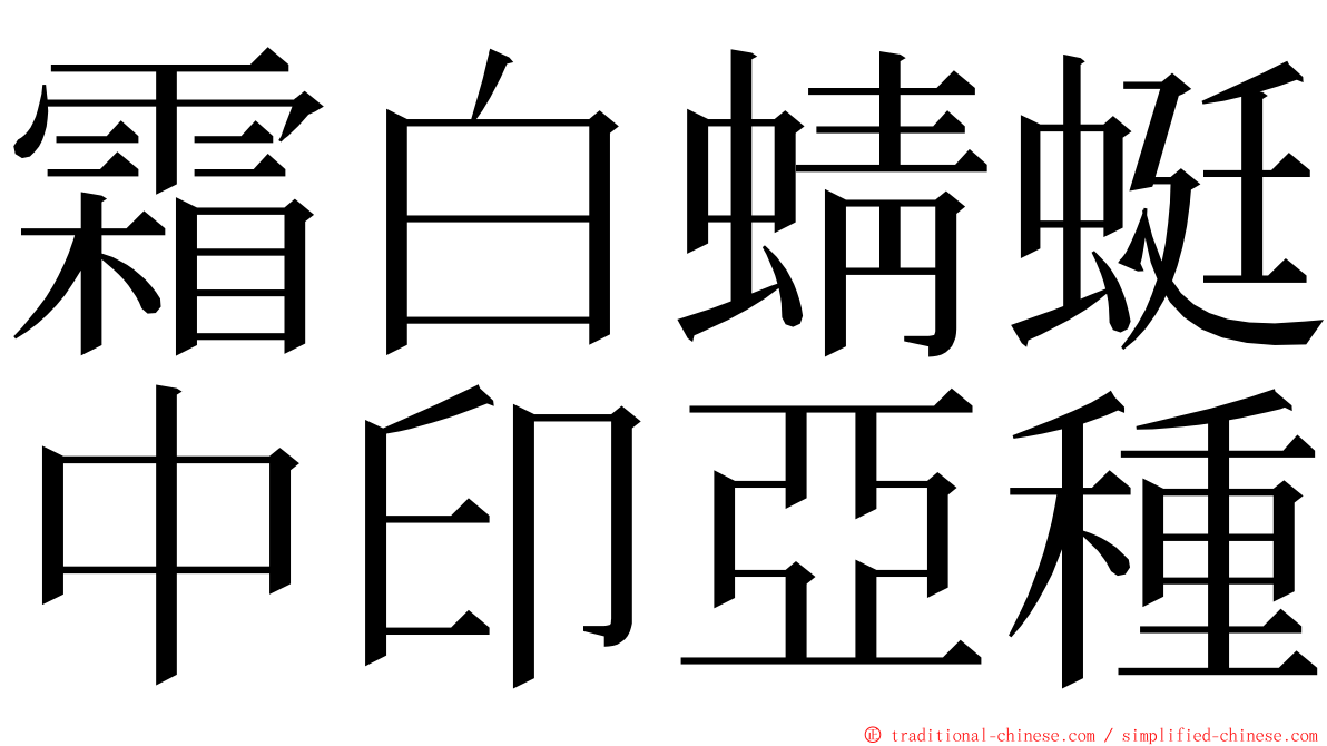 霜白蜻蜓中印亞種 ming font