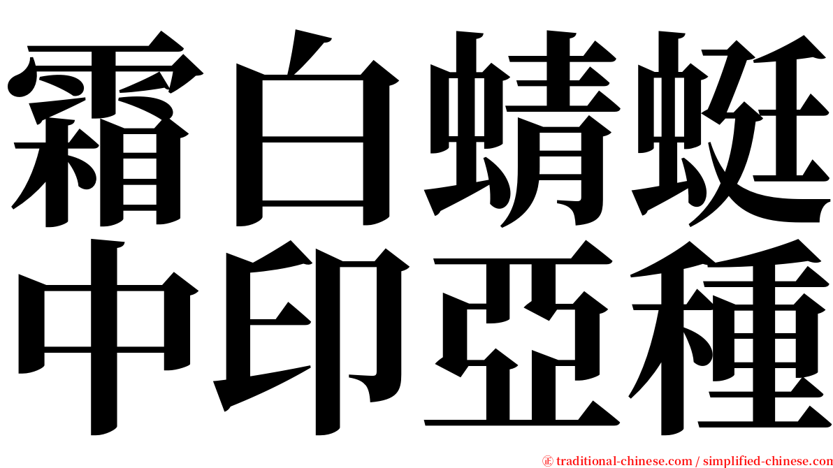 霜白蜻蜓中印亞種 serif font