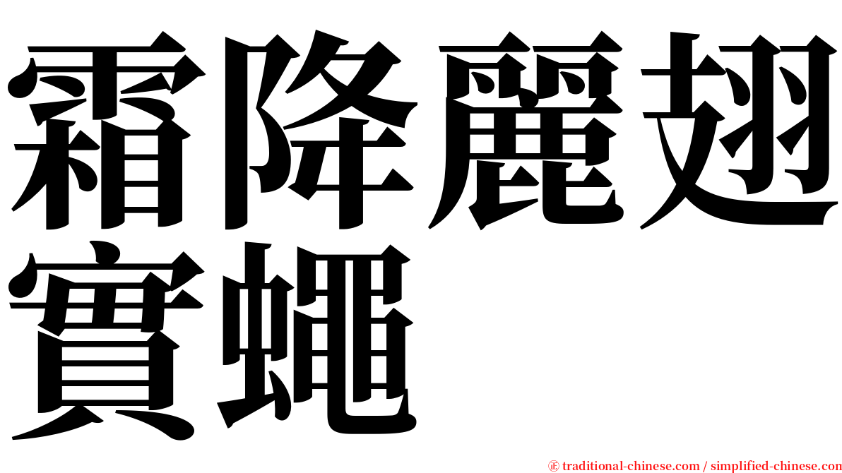 霜降麗翅實蠅 serif font