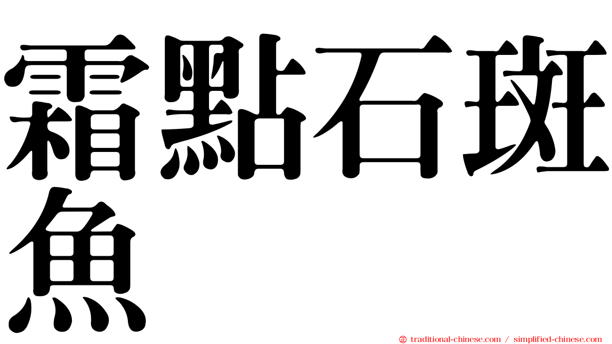 霜點石斑魚