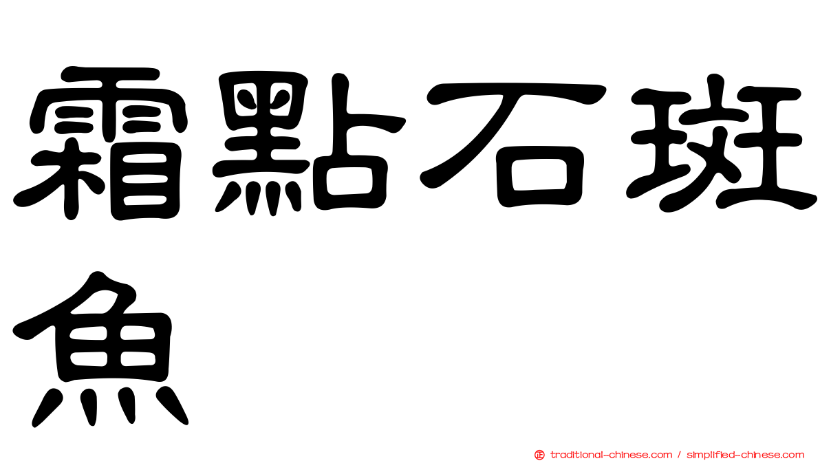 霜點石斑魚