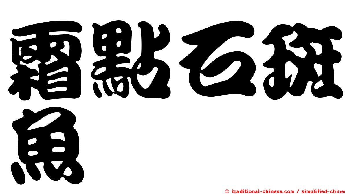 霜點石斑魚