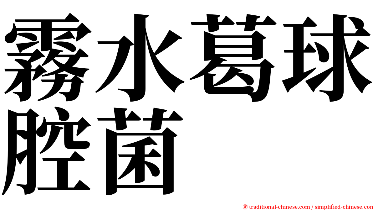 霧水葛球腔菌 serif font