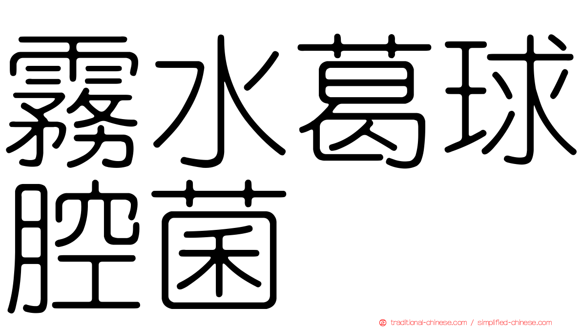 霧水葛球腔菌