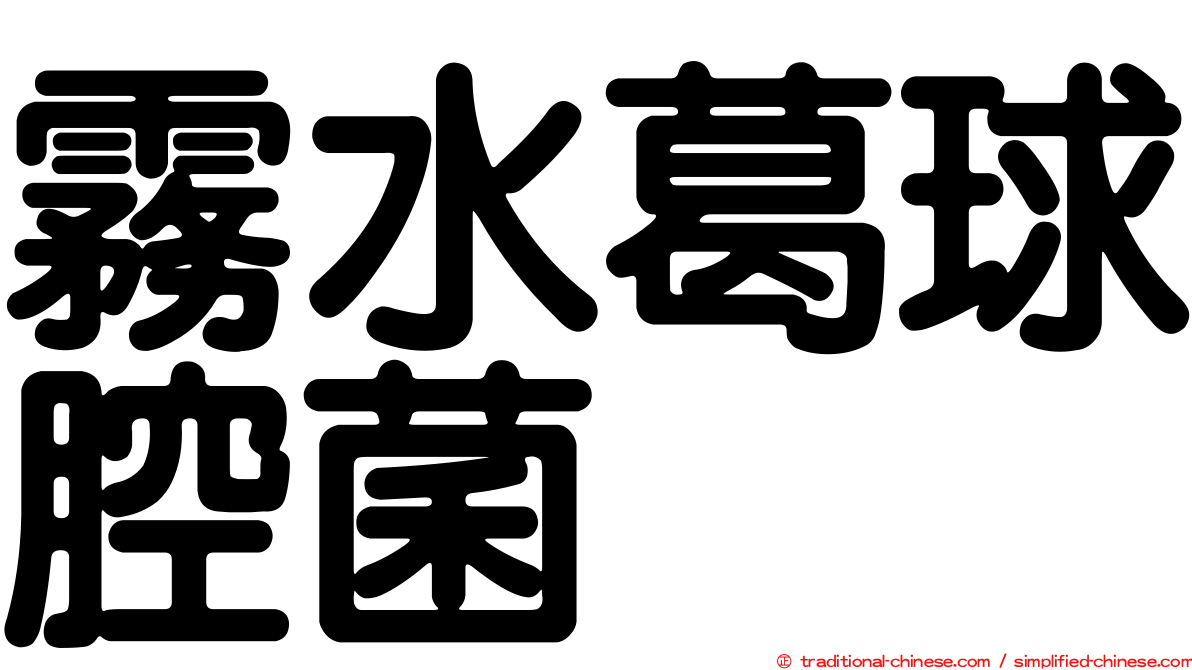 霧水葛球腔菌