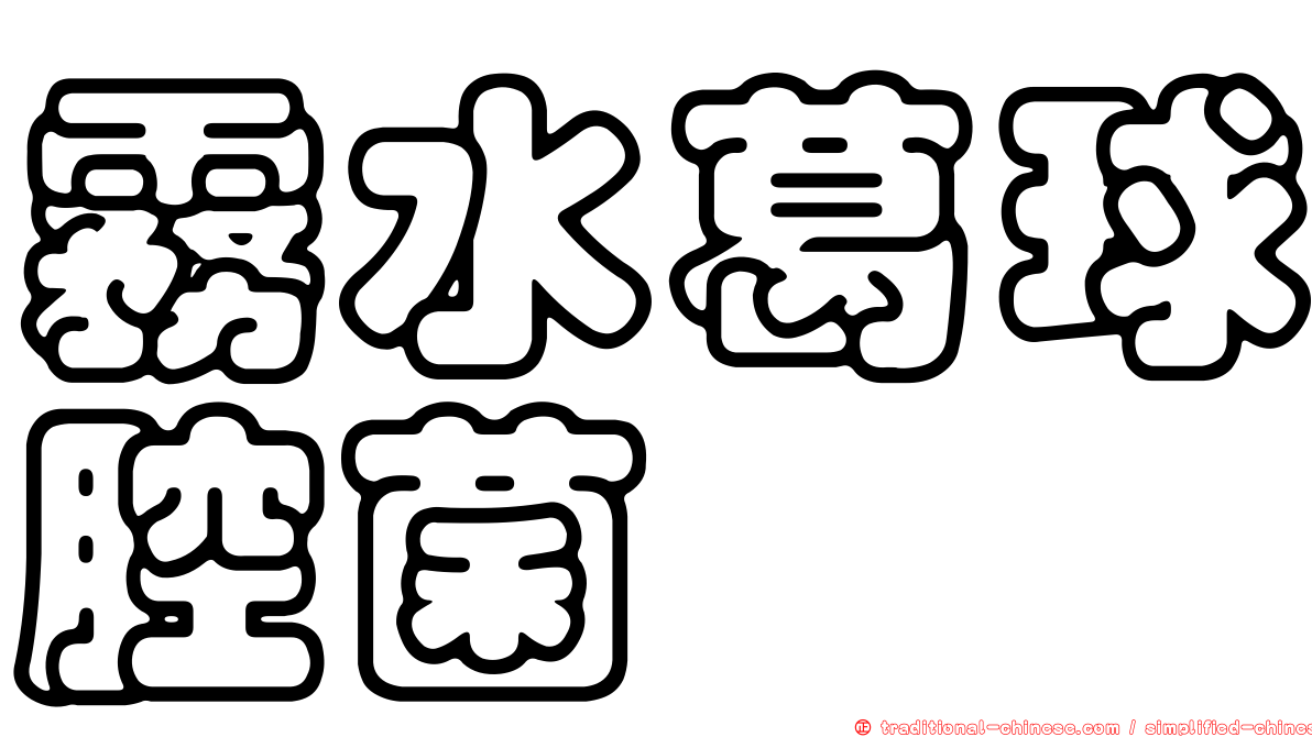 霧水葛球腔菌