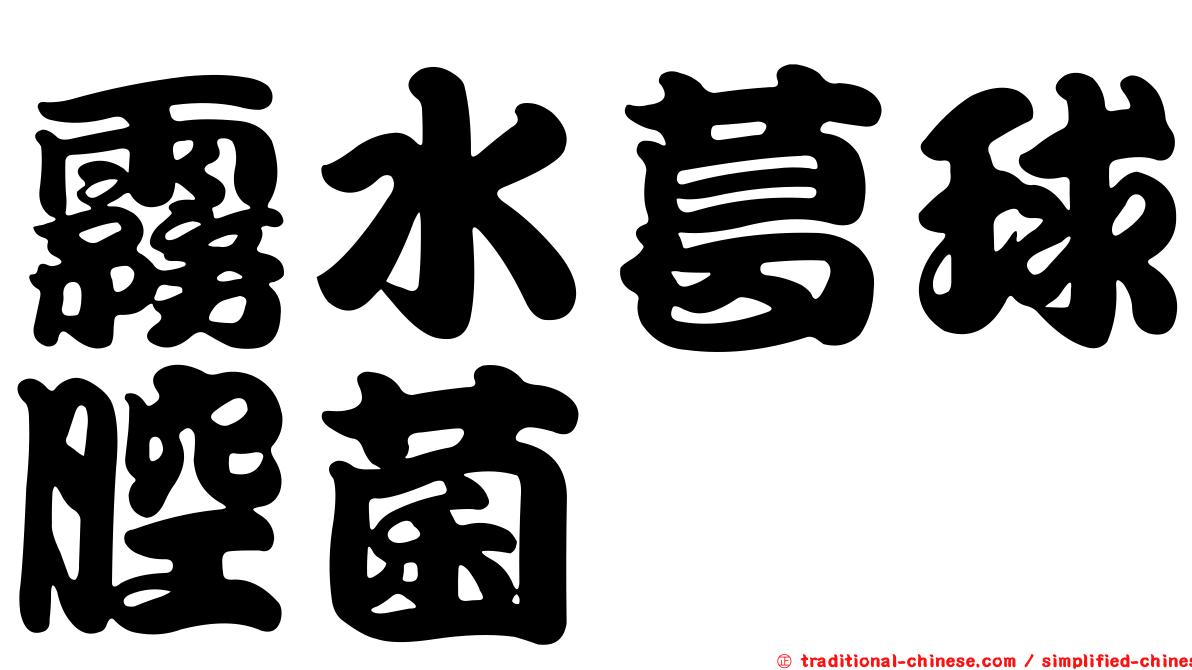 霧水葛球腔菌