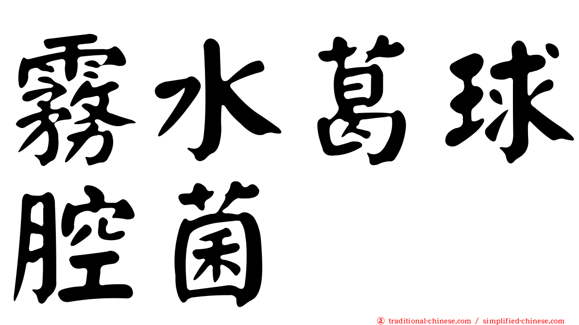 霧水葛球腔菌