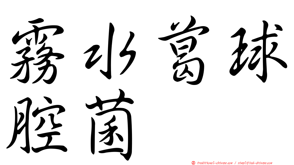 霧水葛球腔菌