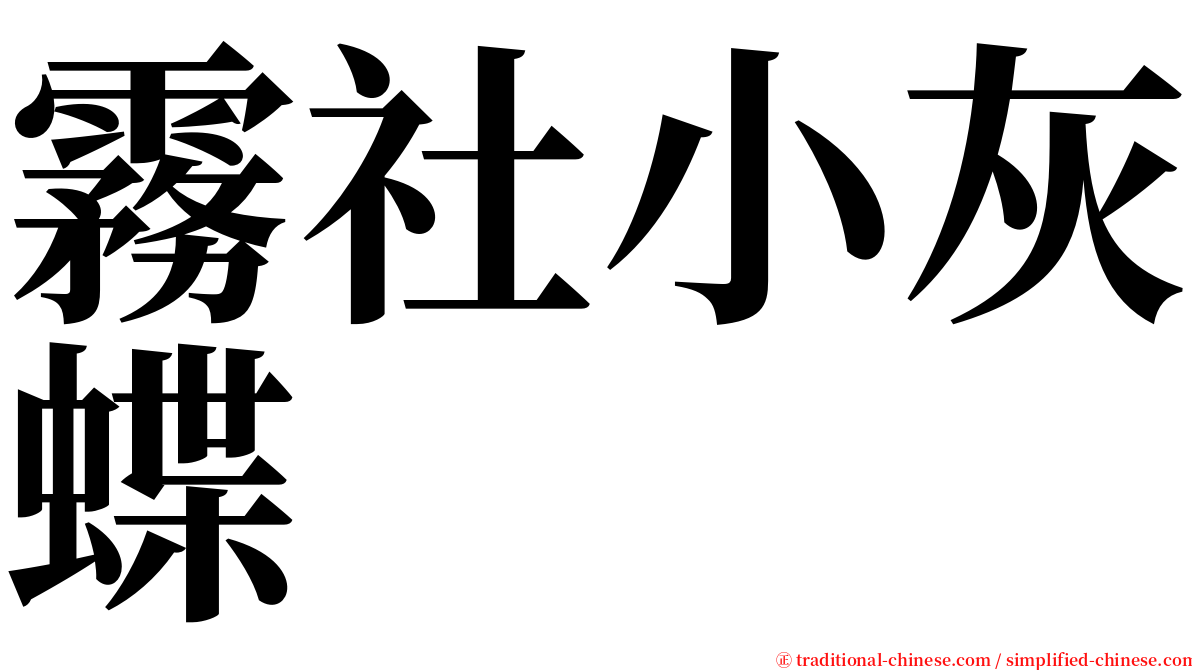 霧社小灰蝶 serif font