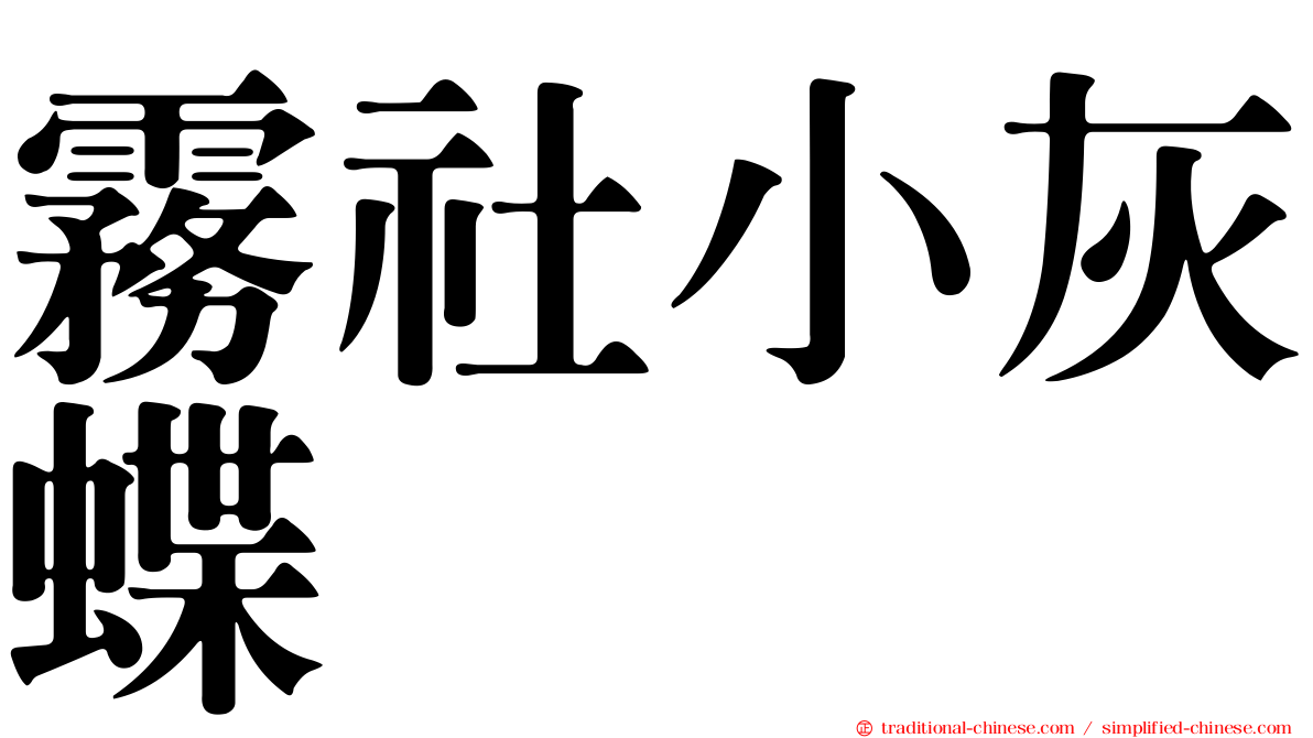 霧社小灰蝶