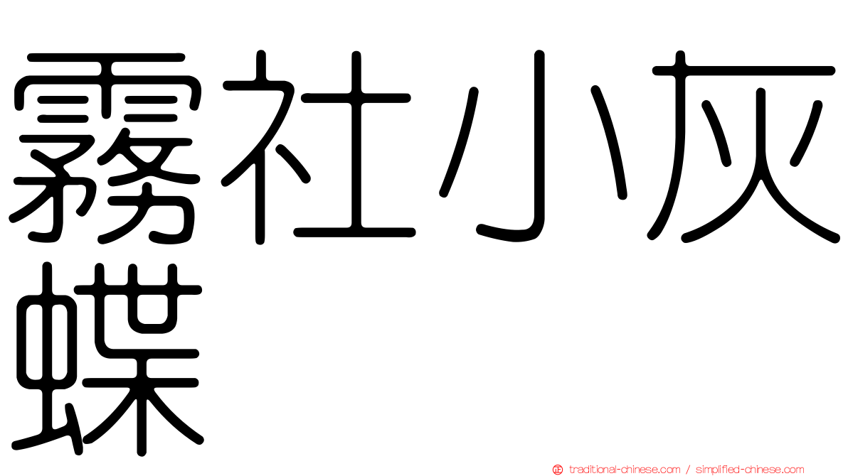 霧社小灰蝶