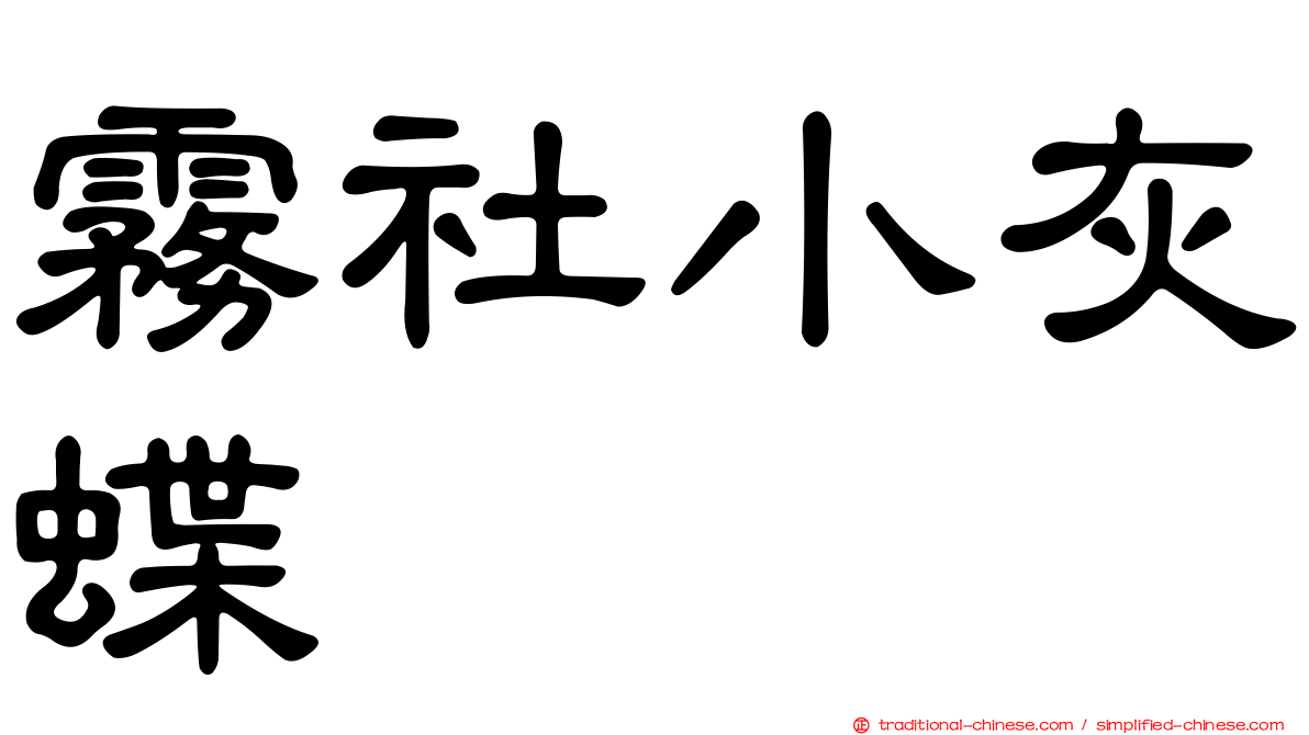 霧社小灰蝶