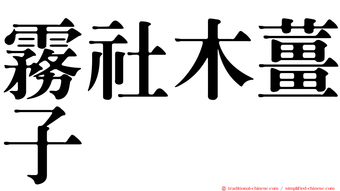 霧社木薑子