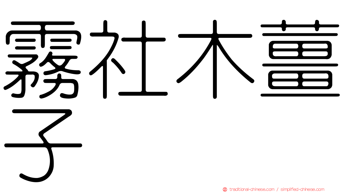 霧社木薑子