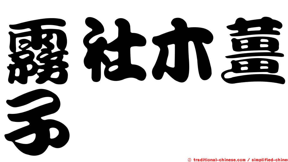 霧社木薑子