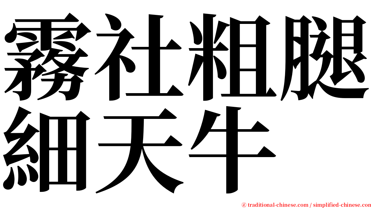 霧社粗腿細天牛 serif font