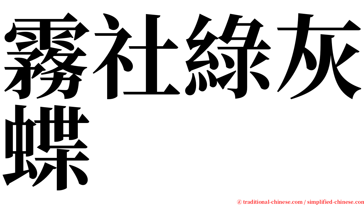 霧社綠灰蝶 serif font