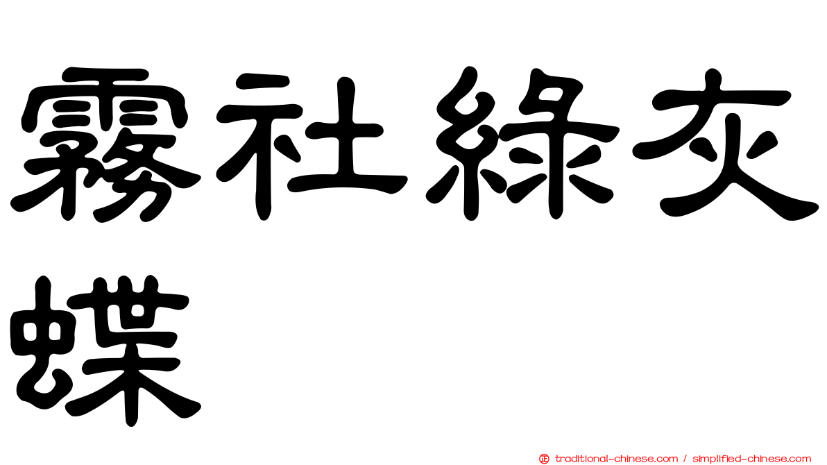 霧社綠灰蝶