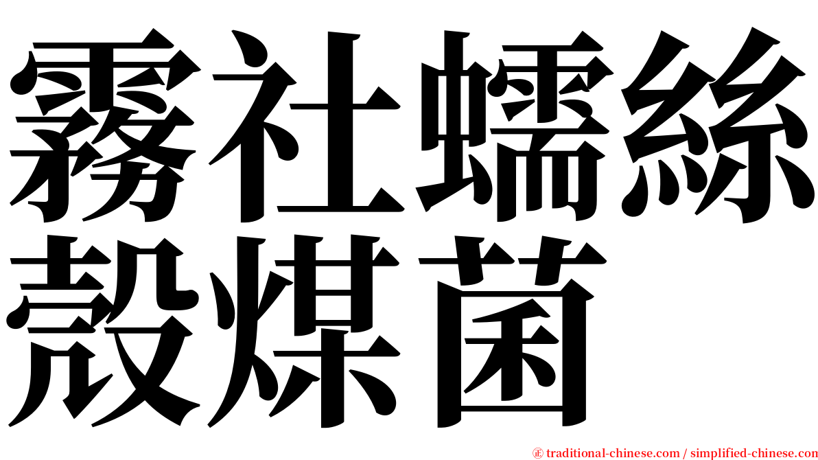 霧社蠕絲殼煤菌 serif font